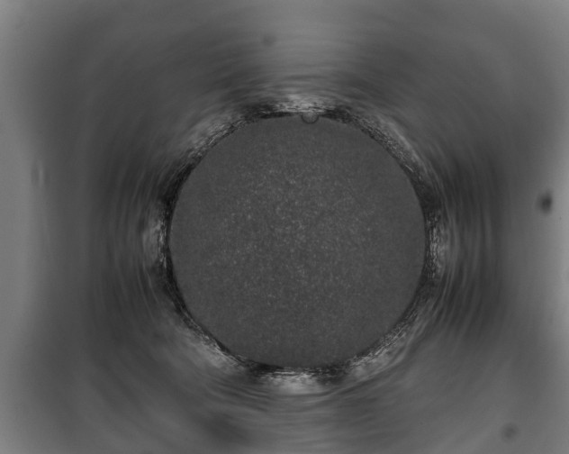 X0000100190322200806061304