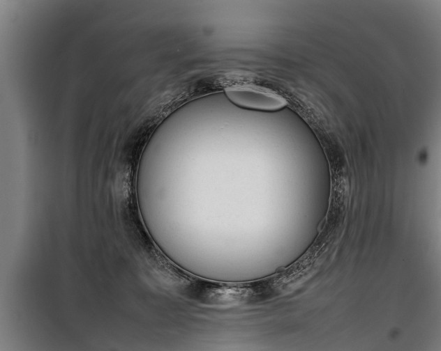 X0000100190323200806061304