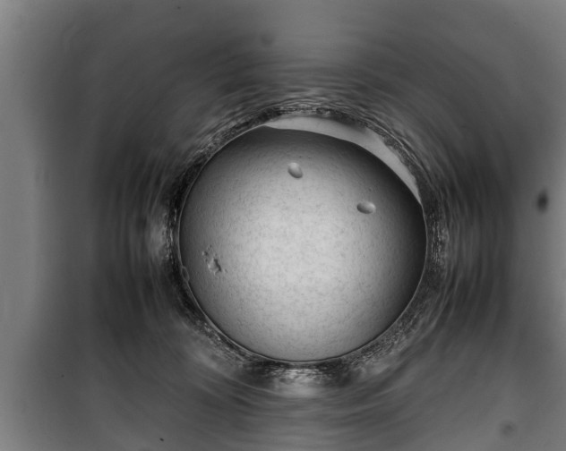 X0000100190324200806061304