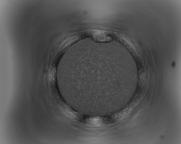 X0000100190325200806061304