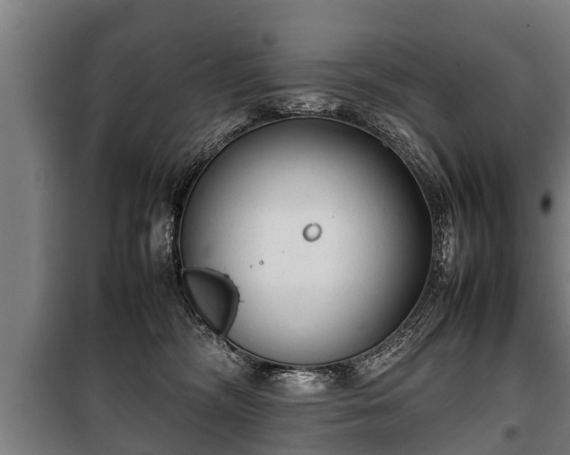 X0000100190326200806061304