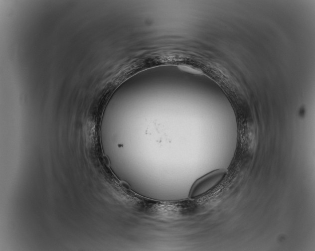 X0000100190327200806061304