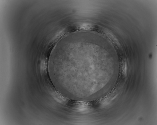 X0000100190328200806061304