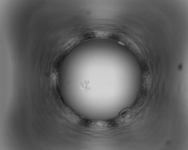 X0000100190329200806061304