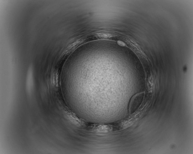 X0000100190330200806061304