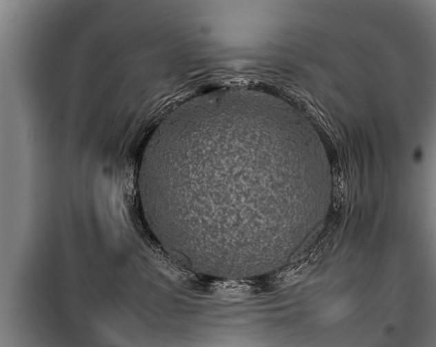 X0000100190331200806061304