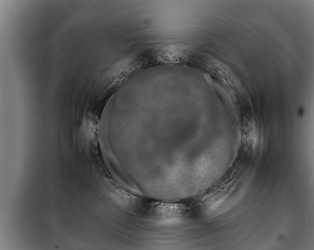 X0000100190332200806061304