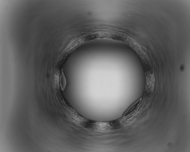 X0000100190333200806061304