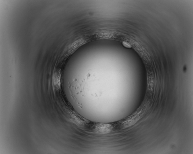 X0000100190334200806061304