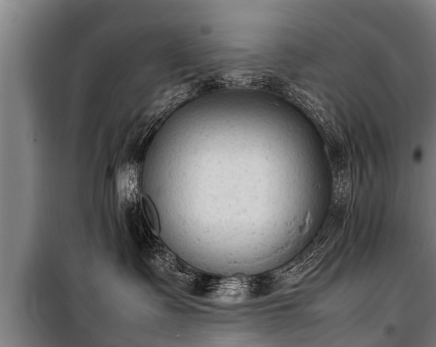 X0000100190335200806061304