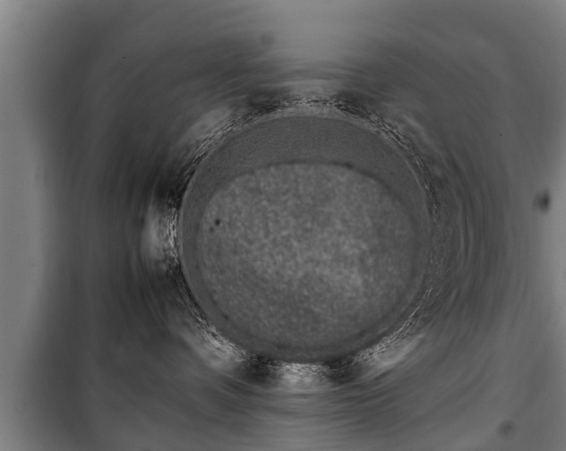 X0000100190336200806061304