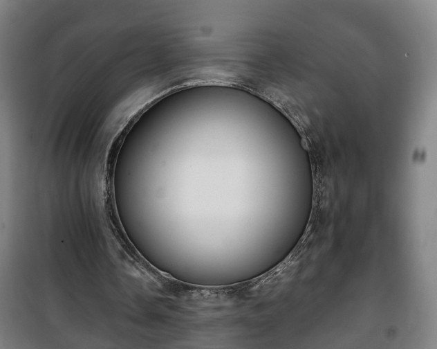 X0000100190338200806061304