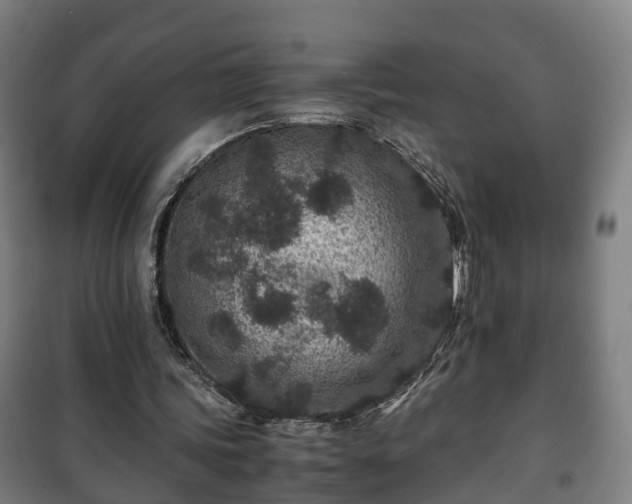 X0000100190339200806061304