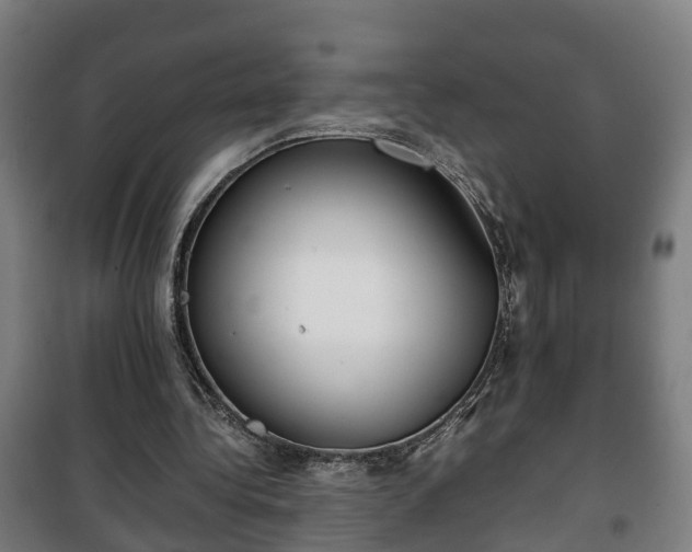 X0000100190340200806061304