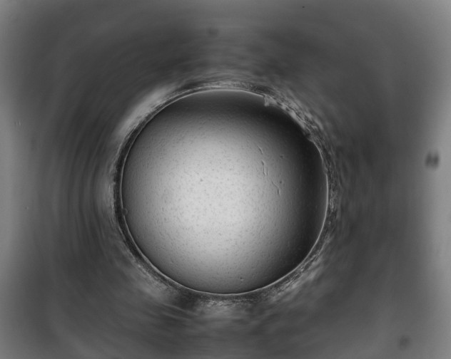 X0000100190341200806061304