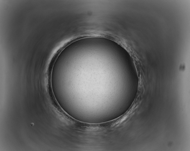 X0000100190342200806061304