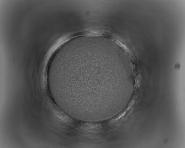 X0000100190343200806061304