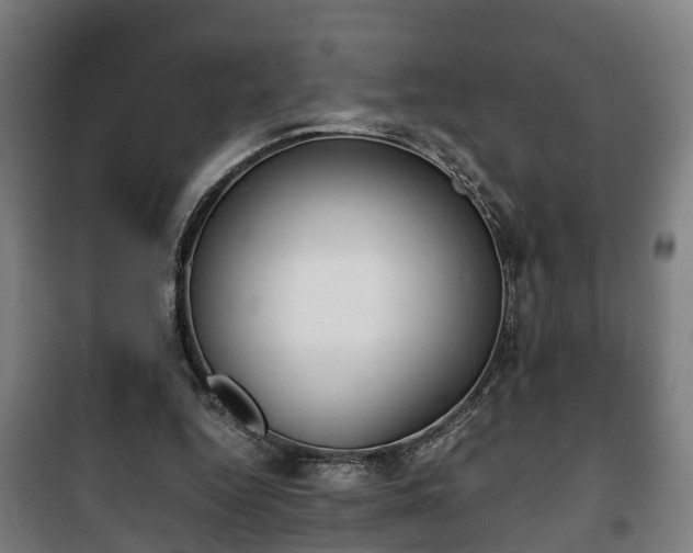 X0000100190344200806061304