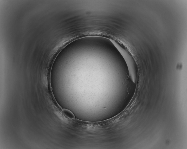 X0000100190345200806061304