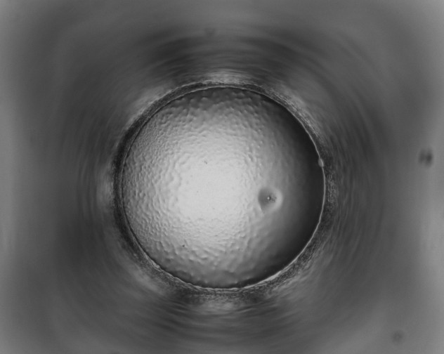 X0000100190347200806061304