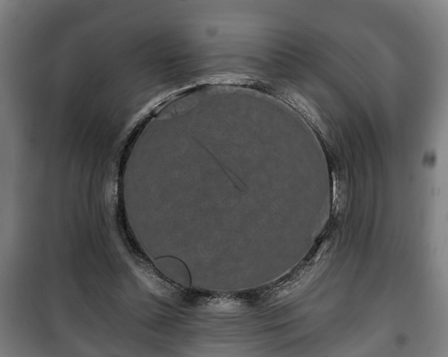 X0000100190348200806061304