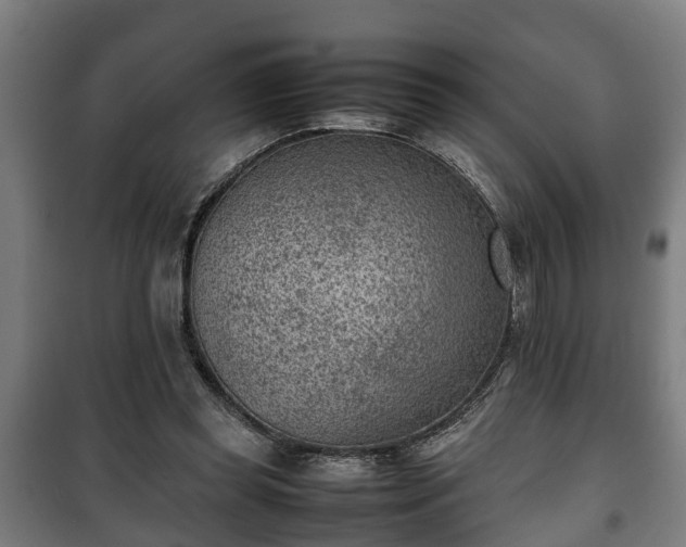 X0000100190349200806061304