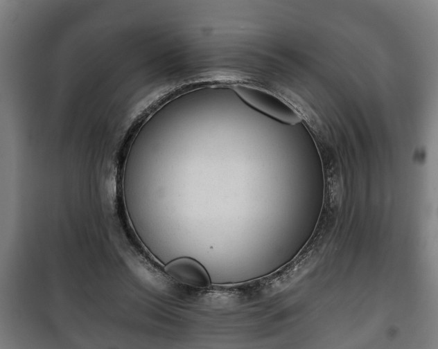 X0000100190350200806061304