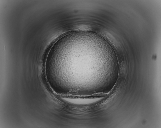 X0000100190351200806061304