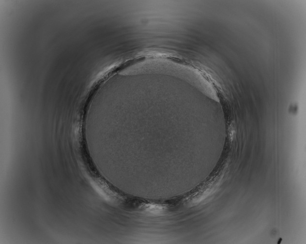 X0000100190352200806061304