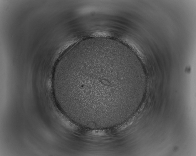 X0000100190353200806061304