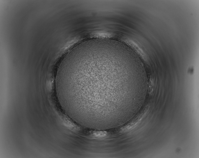 X0000100190355200806061304