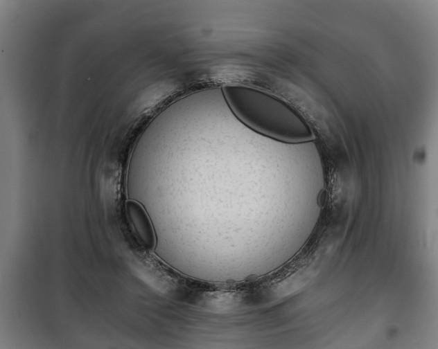 X0000100190356200806061304