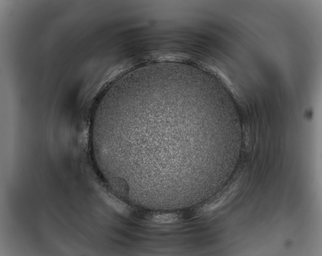 X0000100190357200806061304