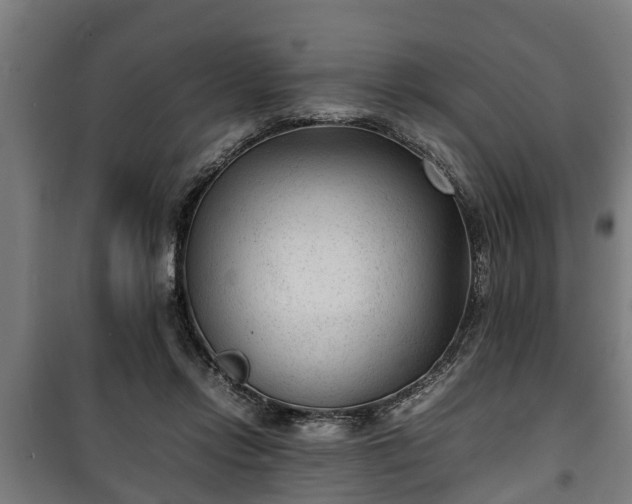 X0000100190358200806061304