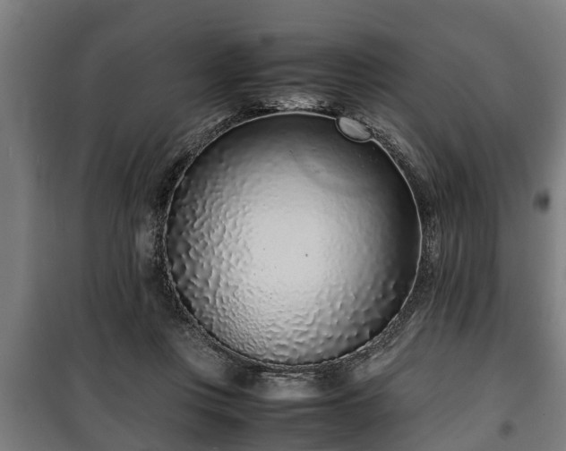 X0000100190359200806061304