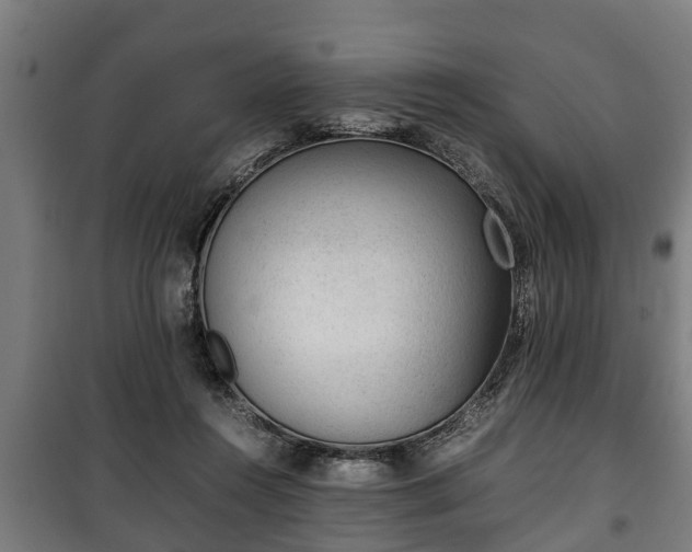 X0000100190360200806061304