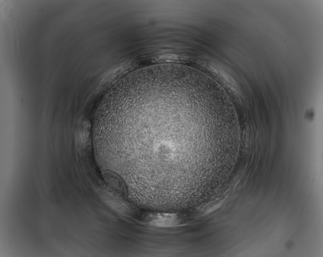 X0000100190361200806061304