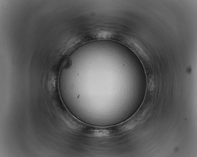 X0000100190363200806061304