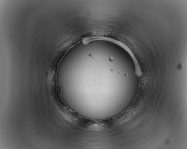 X0000100190364200806061304