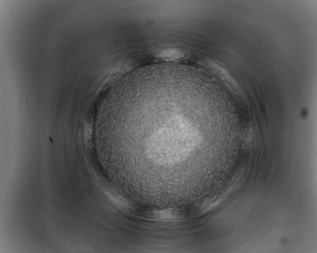 X0000100190365200806061304