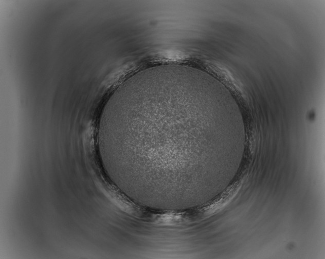 X0000100190366200806061304