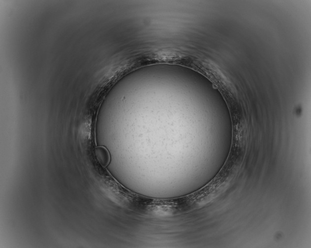 X0000100190368200806061304