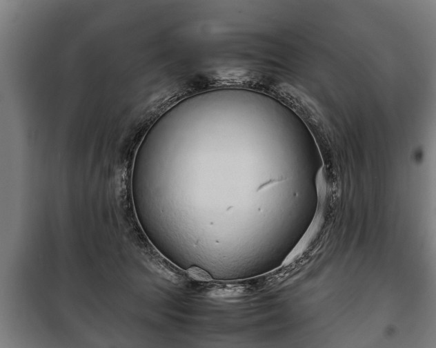 X0000100190369200806061304