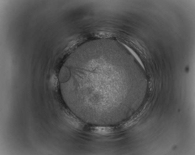 X0000100190371200806061304