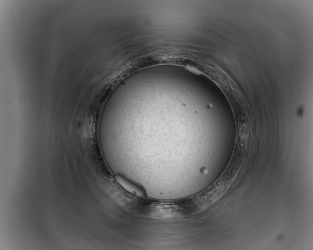 X0000100190372200806061304