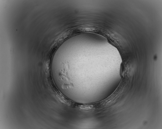 X0000100190373200806061304