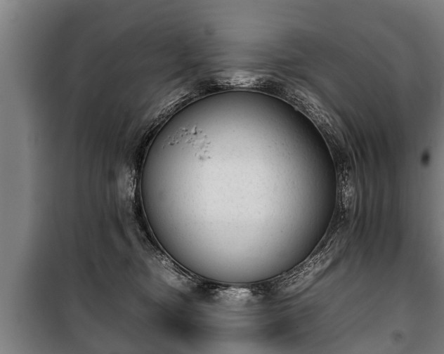 X0000100190374200806061304