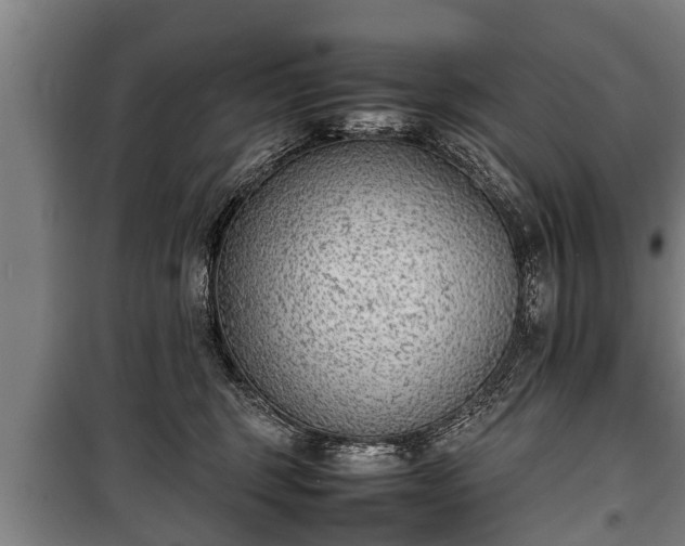 X0000100190375200806061304