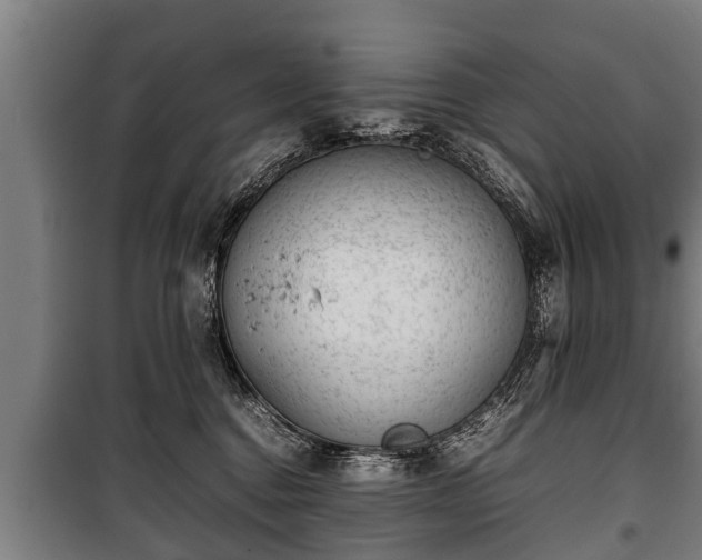 X0000100190376200806061304