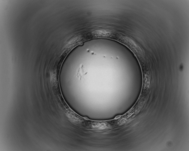 X0000100190377200806061304